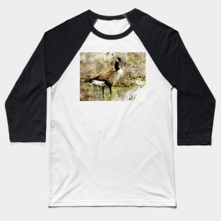 Canada goose Baseball T-Shirt